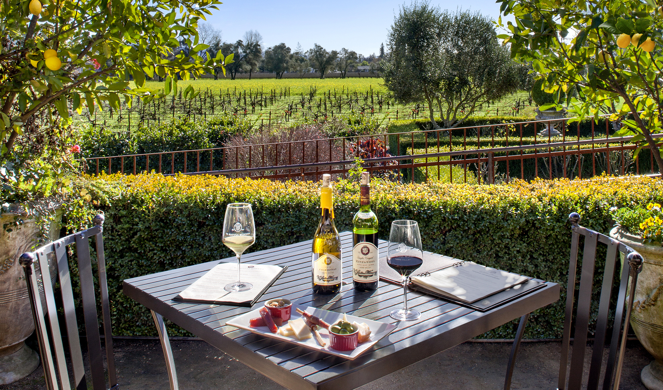 Tour &amp; Terrace Tasting with cheese and charcuterie