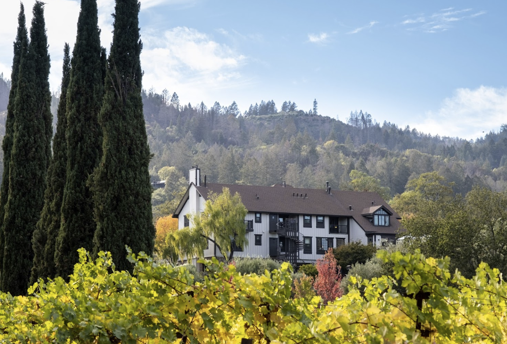 Looking through the vineyard at Wine Country Inn and Cottages, a St. Helena hotel in the north of the St. Helena AVA