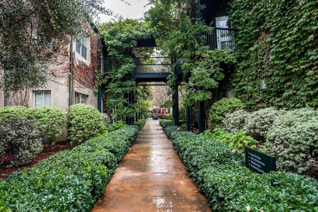 The interior courtyard of Southbridge Napa Valley, a St. Helena hotel featuring ivy-covered walls and clean, modern rooms