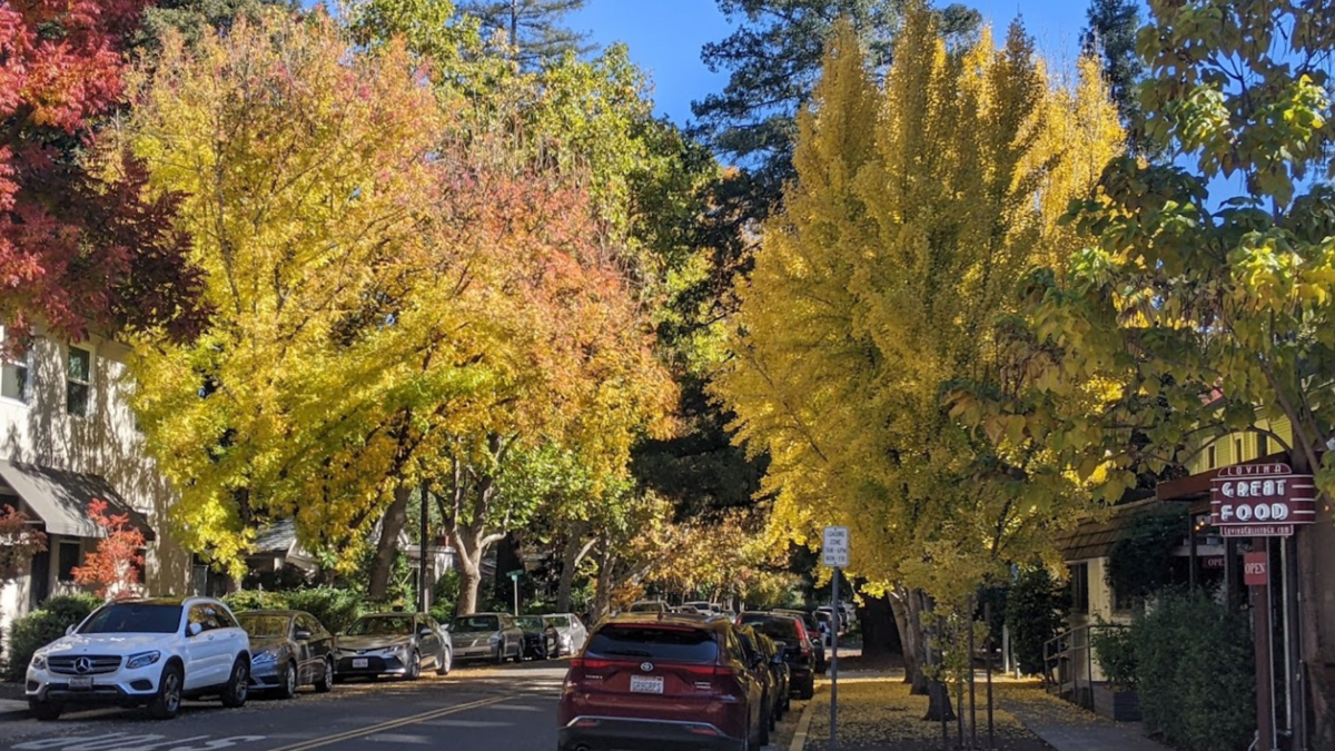 Calistoga’s main street, at the corner of Lincoln Ave and Cedar St, during the fall