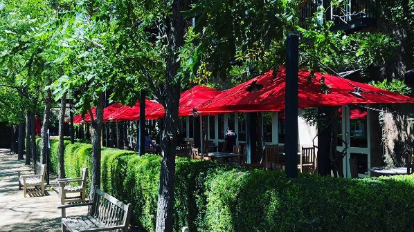 The shaded courtyard of Pizzeria Tra Vigne in St. Helena, CA