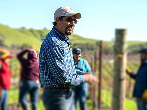 David Bejar - Vineyard Manager