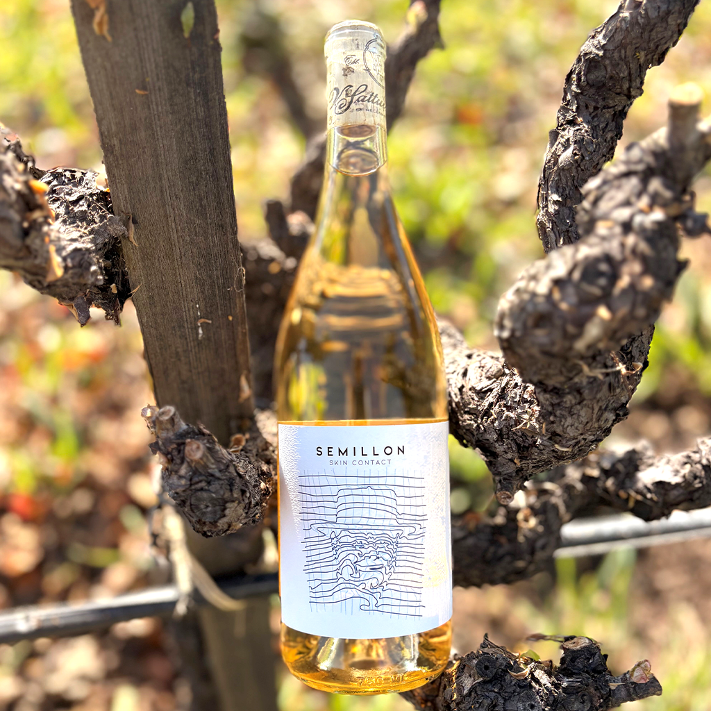 Semillon-Skin-Contact